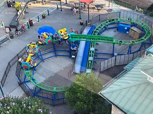 Photo of Spinning Parrot