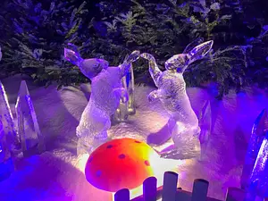 Photo of The Magical Ice Kingdom - The Secret Forest