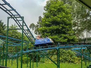 Photo of Forest Flying Mouse