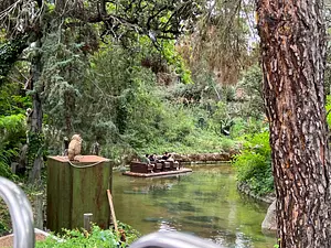 Photo of La Jungla