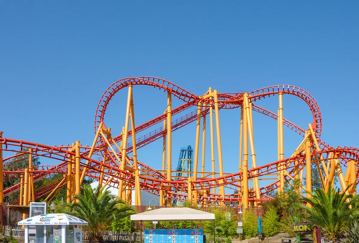 Photo of Kong