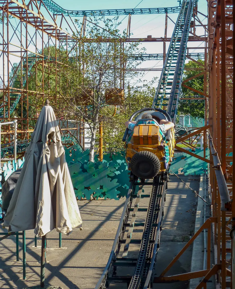 Photo of Tree Top Racers