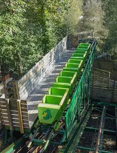 Photo of Green Dragon