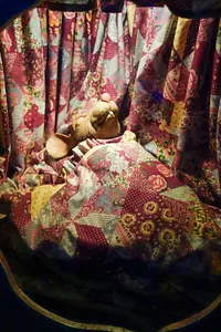 Photo of The Wonderful World of Wind in the Willows