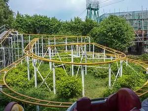 Photo of Jungle Mouse
