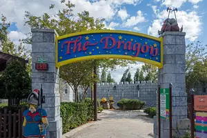 Photo of The Dragon