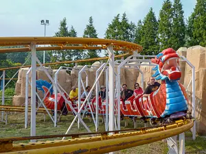 Photo of Gliding Dragon