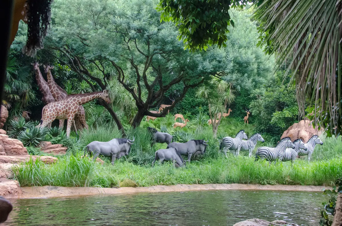 Photo of Jungle Cruise