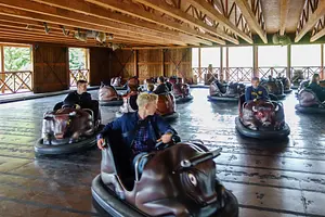 Photo of Buffalo Bumper Cars