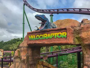 Photo of Velociraptor