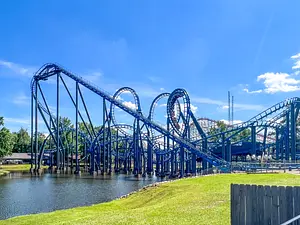 Photo of Blue Hawk