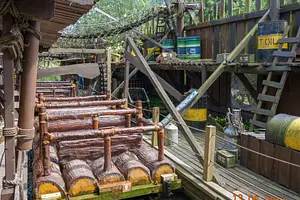Photo of Amazonas