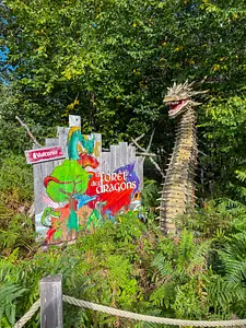 Photo of La Forêt des dragons