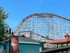 Photo of Wild One
