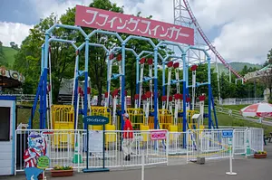Photo of Swinging Gym