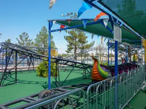 Photo of Dragon Coaster