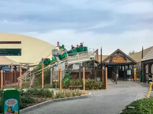 Photo of Dragon's Apprentice