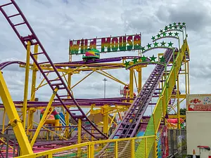 Photo of Wild Mouse