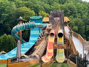 Photo of Dino Splash