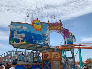 Photo of Wild Whizzer