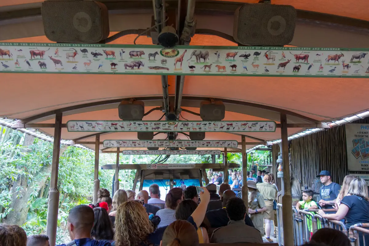 Photo of Kilimanjaro Safari