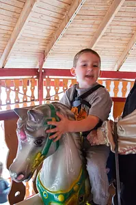 Photo of Horses Carousel