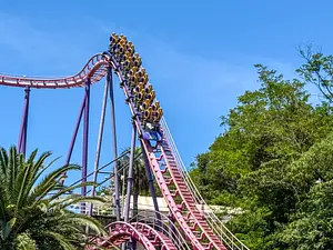 Photo of Pink Typhoon