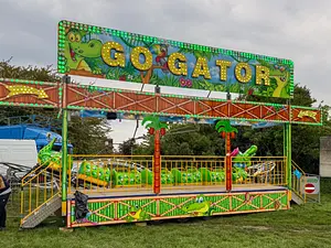 Photo of Go Gator