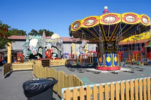 Photo of Wave Swinger