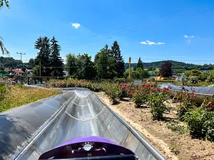 Photo of Bob-Coaster im Rosengarten