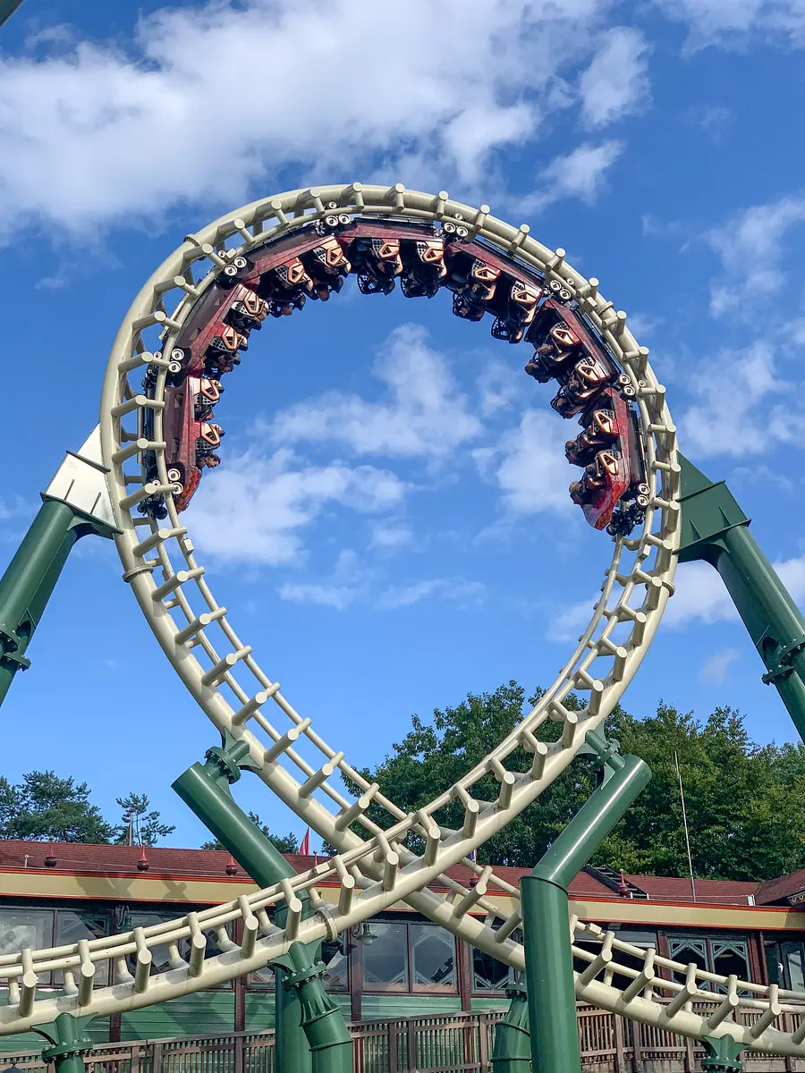 Photo of Python