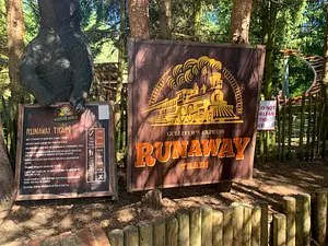 Photo of Runaway Train