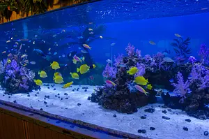 Photo of Aqua Museum