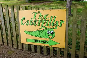 Photo of Caterpillar