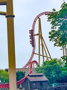 Photo of Maverick