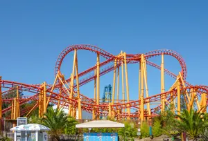 Photo of Kong