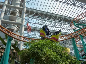 Photo of Fairly Odd Coaster