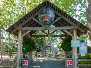 Photo of Timber Wolf