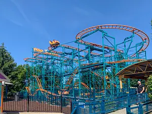Photo of Wild Mouse