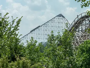 Photo of Mamba