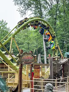 Photo of Cobra