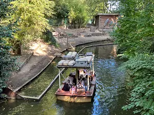 Photo of Jungle Mission