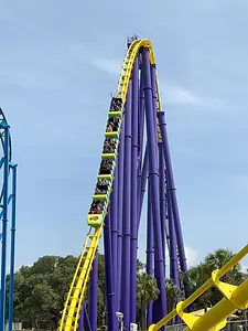 Photo of Steel Eel