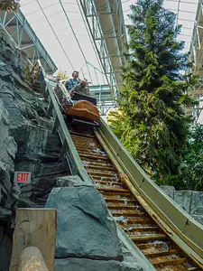 Photo of Log Chute