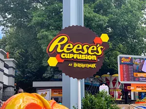 Photo of Reese's CupFusion