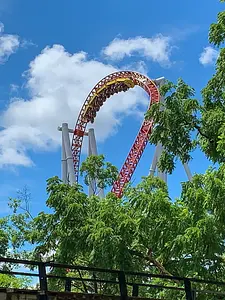 Photo of Storm Runner